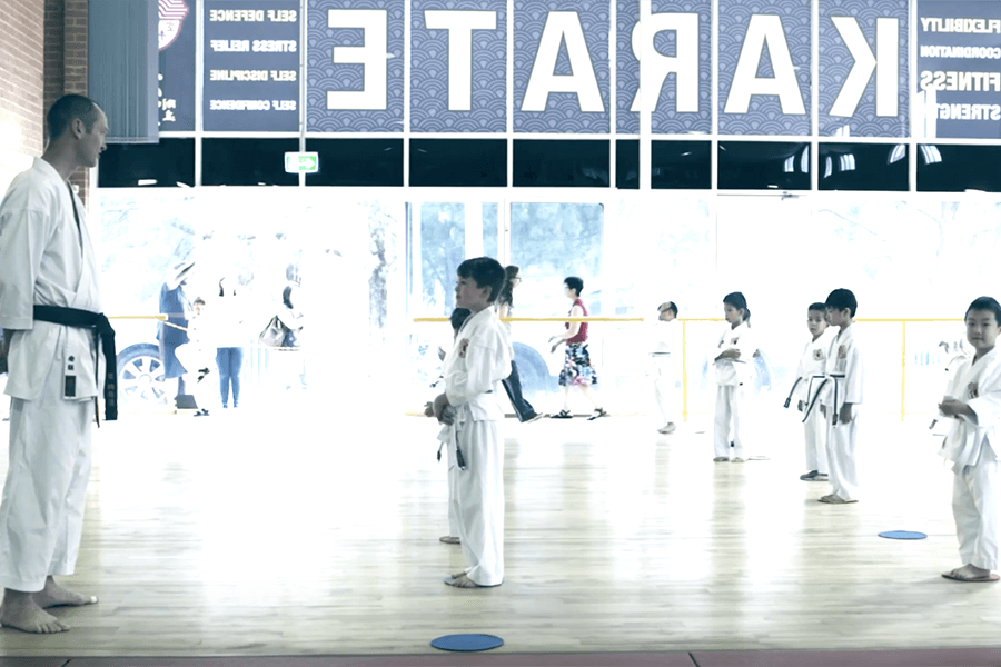 THE AUSTRALIAN INSTITUTE OF KARATE